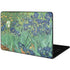 Vincent Van Gogh Irises Google Pixelbook Go Skin